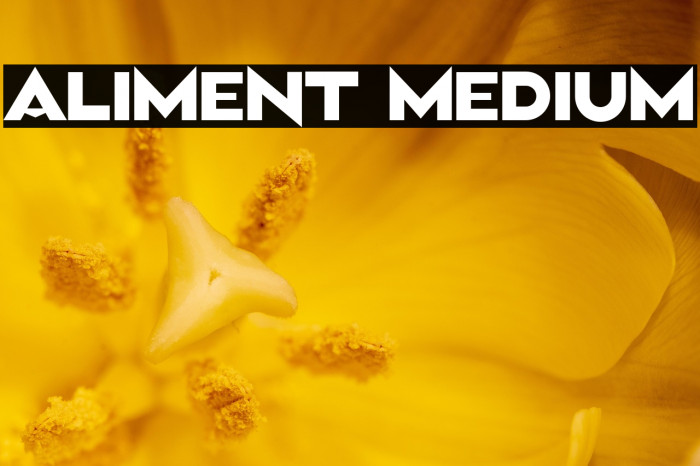 Aliment Medium Example 2