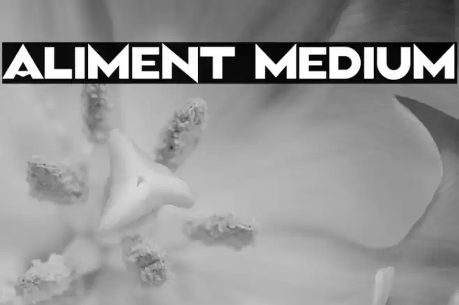 Aliment Medium Font examples