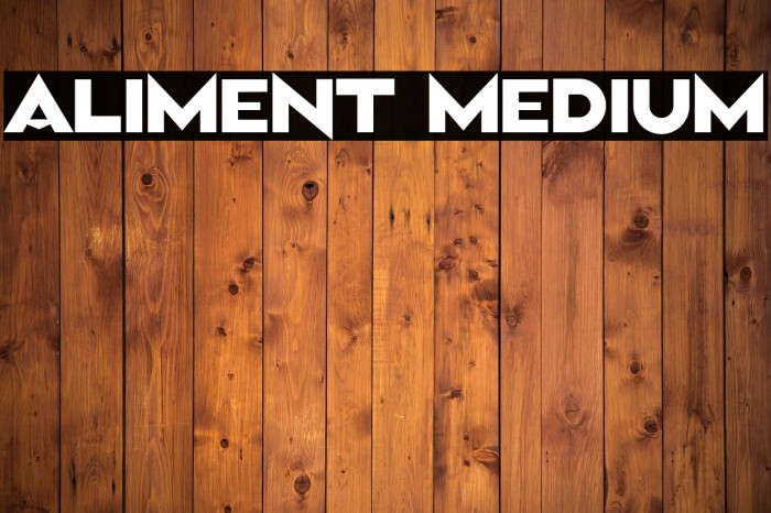 Aliment Medium Example 3