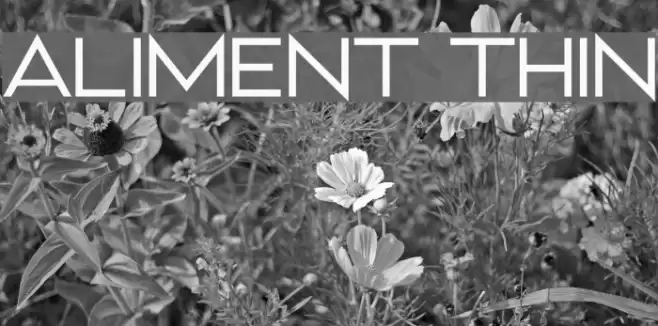 Aliment Thin Font examples