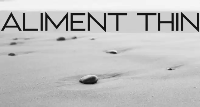 Aliment Thin Font examples
