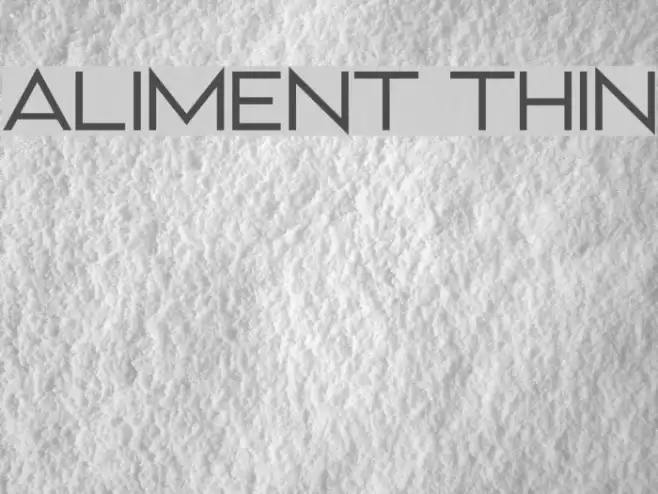 Aliment Thin Font examples