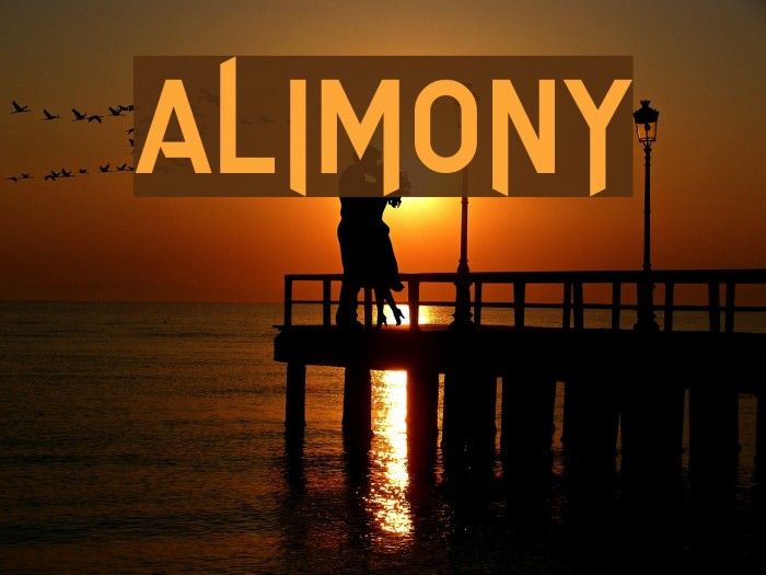 Alimony Example 2