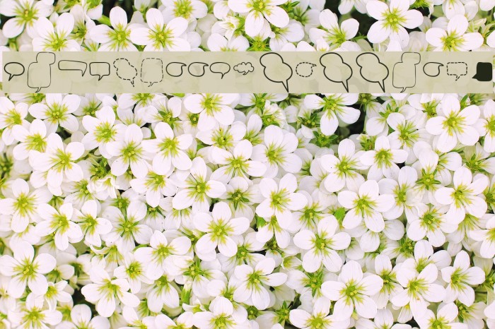 Alin Speech Bubbles 2 Example 1