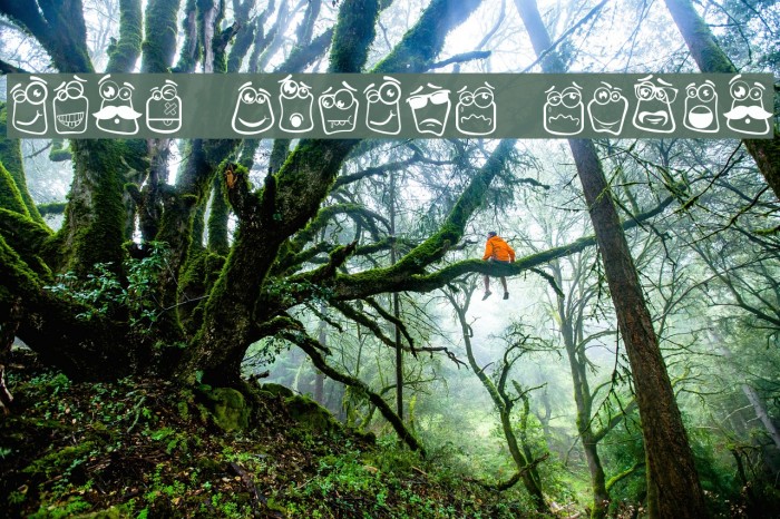 Alin Square Emoji Font examples