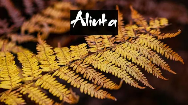 Alinka Example 1