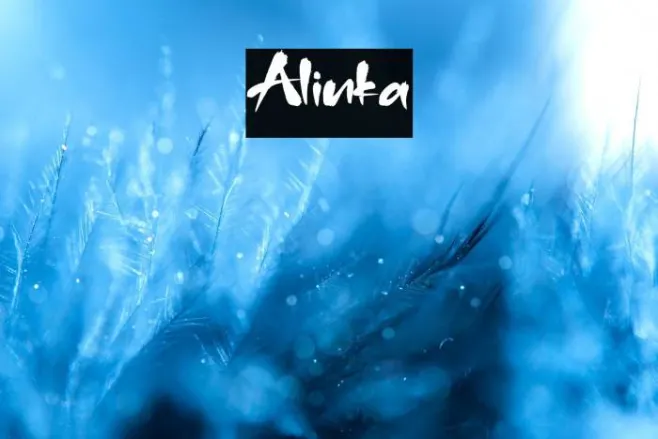 Alinka Example 3