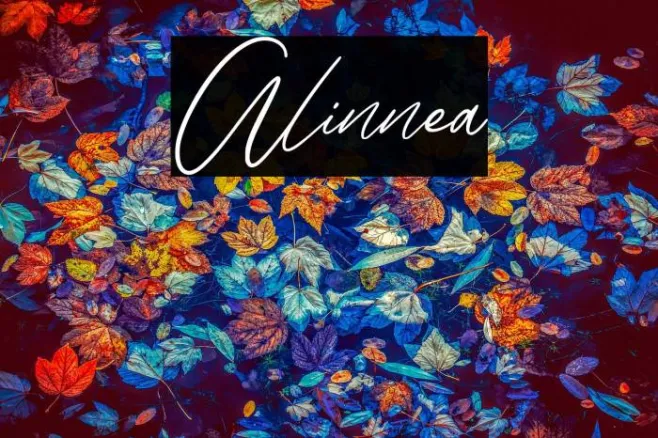 Alinnea Example 2