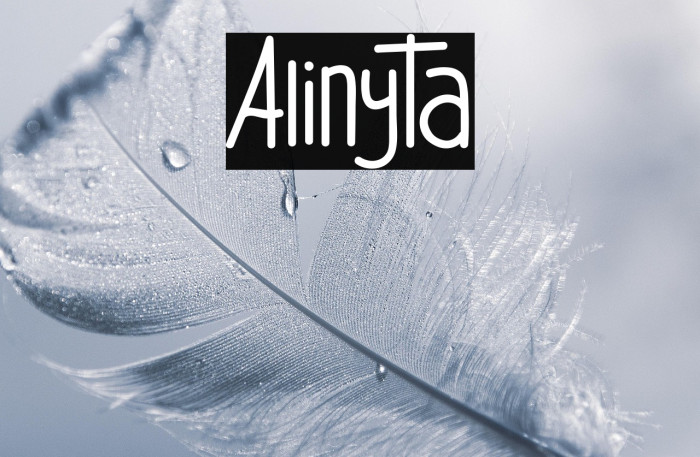 Alinyta Example 1