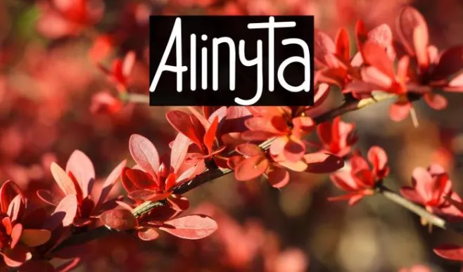 Alinyta Example 2