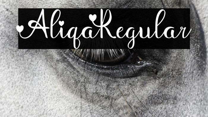 Aliqa-Regular Example 1