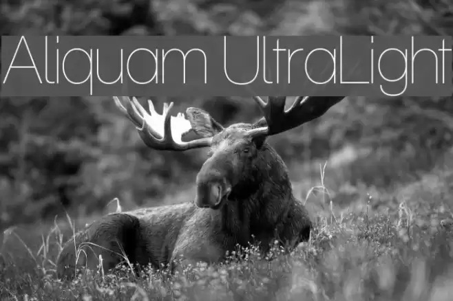 Aliquam UltraLight フォント examples