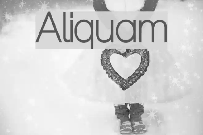 Aliquam Font examples