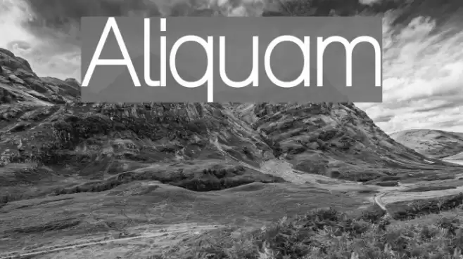 Aliquam Font examples