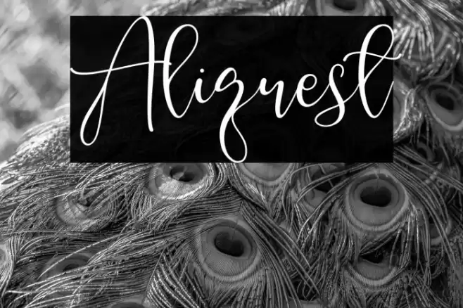 Aliquest Font examples