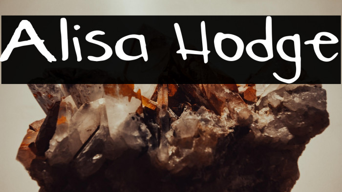 Alisa Hodge Example 3