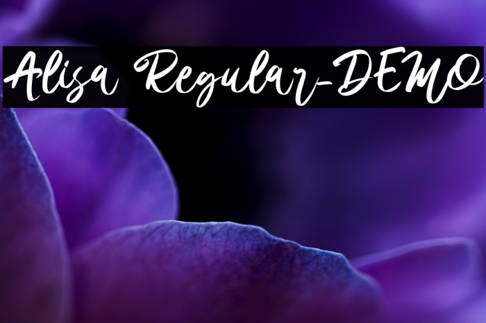 Alisa Regular_DEMO Example 1