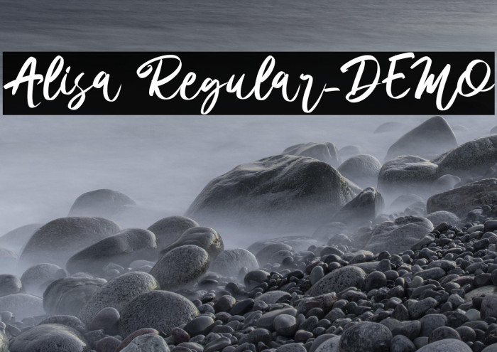 Alisa Regular_DEMO Example 3