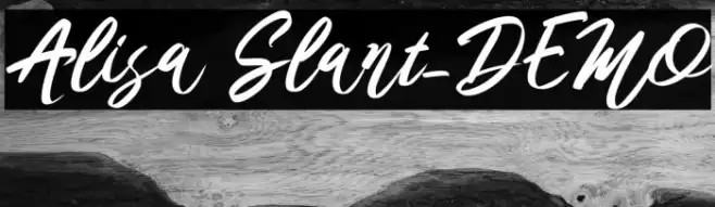 Alisa Slant_DEMO Font examples