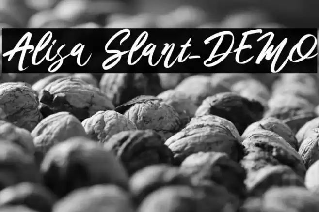 Alisa Slant_DEMO Font examples