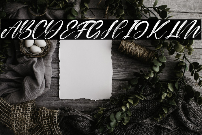 Alisabela Brushley Italic Example 3