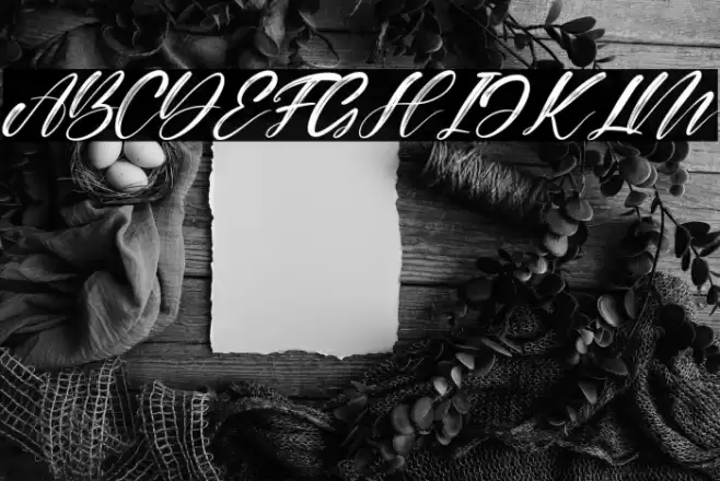 Alisabela Brushley Italic Font examples