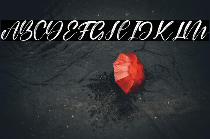 Alisabela Brushley Example 1