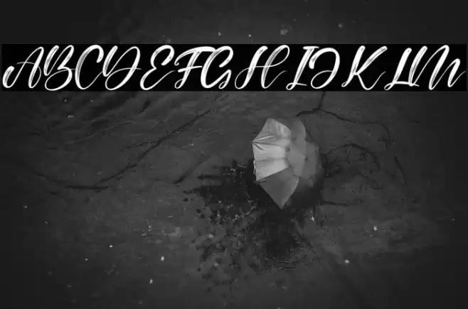 Alisabela Brushley Font examples