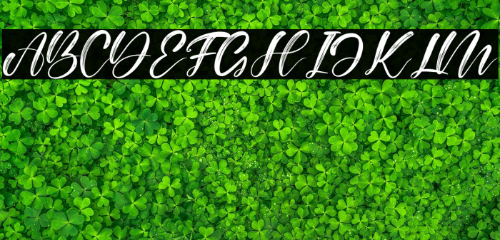 Alisabela Brushley Example 2