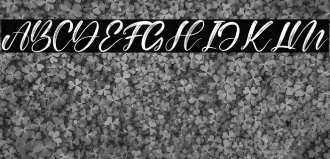 Alisabela Brushley Font examples