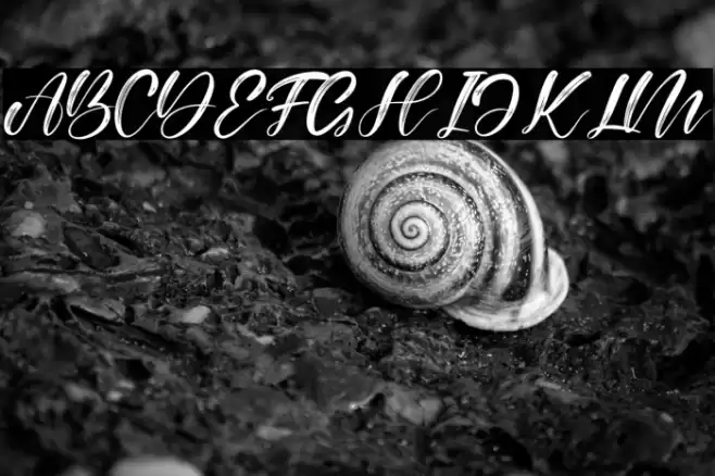 Alisabela Brushley Font examples