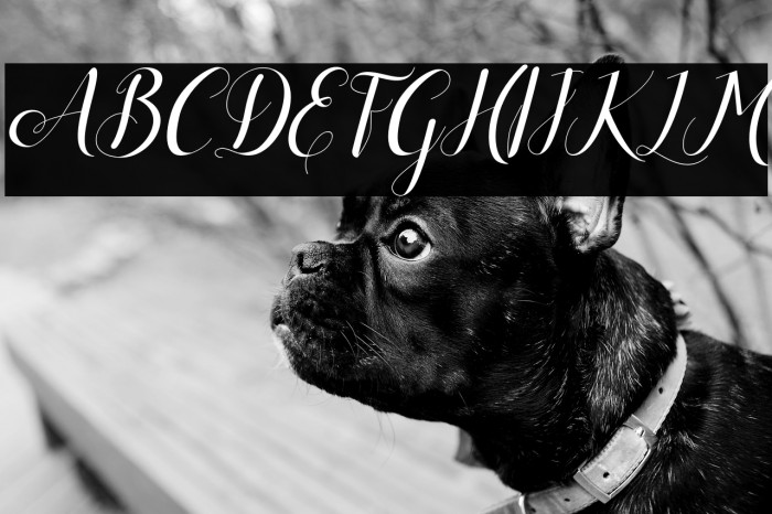 Alisabeth Italic Example 2