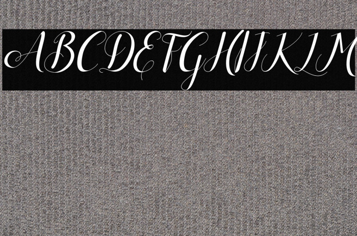 Alisabeth Italic Example 3