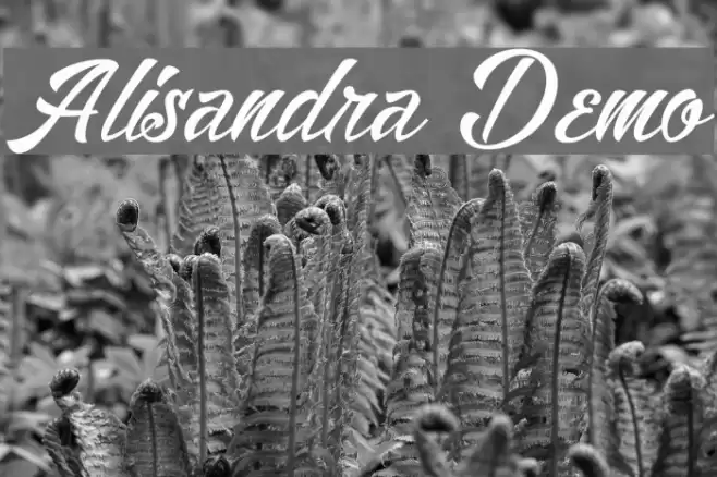 Alisandra Demo Font examples