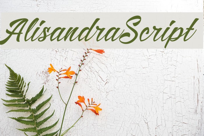 AlisandraScript Font examples