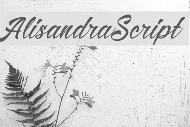 AlisandraScript Font examples