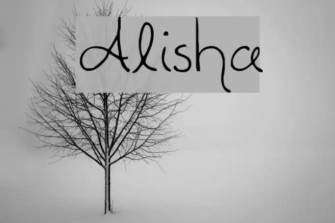 Alisha Font examples