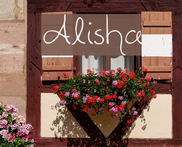 Alisha Font examples