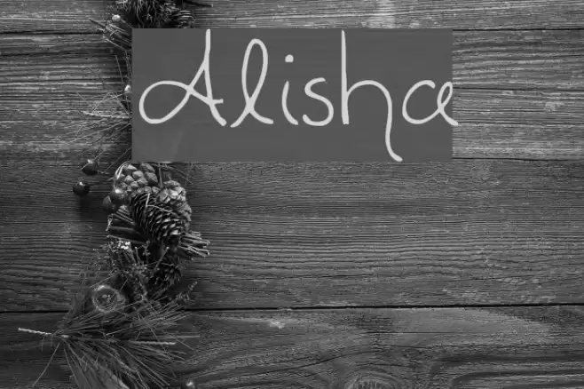 Alisha Font examples