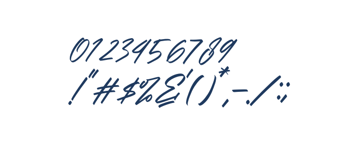 Alishakey Italic Other Characters