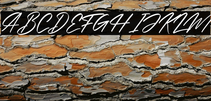 Alishakey Italic Example 1