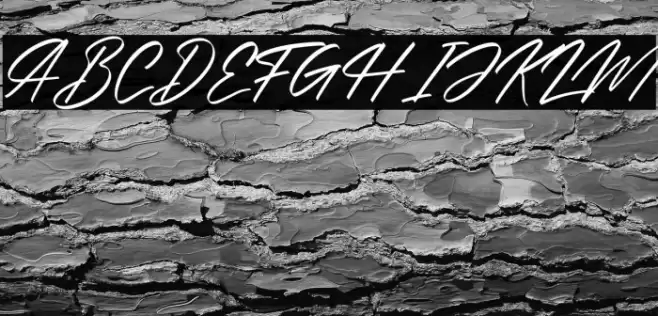 Alishakey Italic Font examples