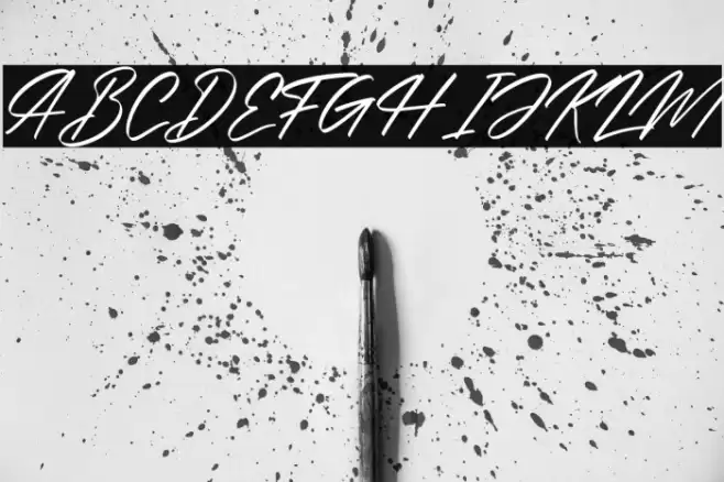 Alishakey Italic Font examples