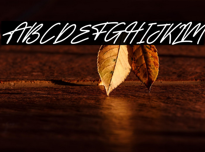 Alishanty Italic Example 1