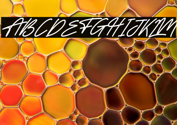 Alishanty Italic Example 3