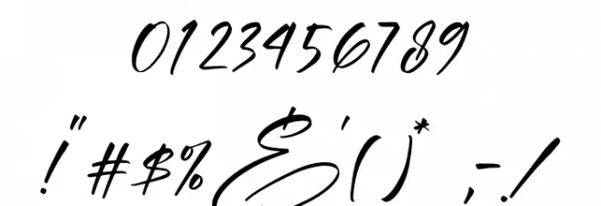 Alishanty Signature Font OTHER CHARS