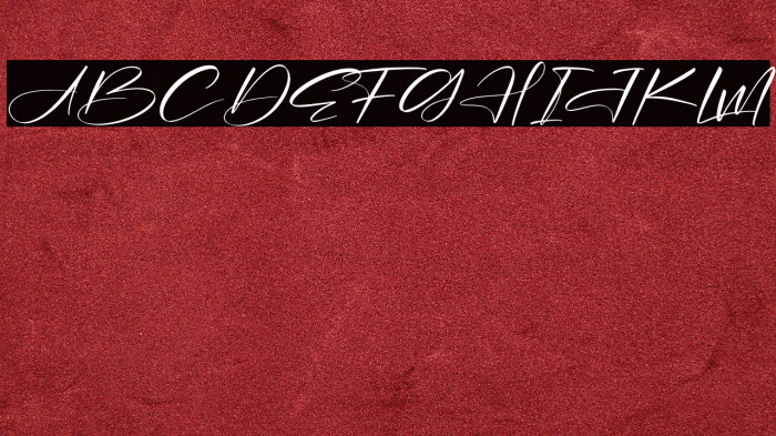 Alishanty Signature Example 2