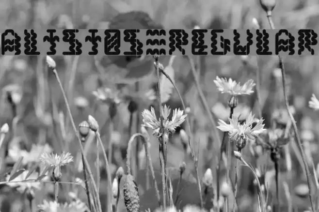 Alisios Regular Font examples