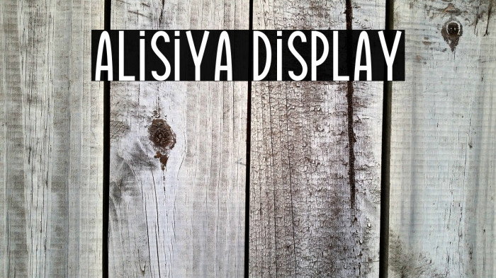 Alisiya Display Example 1