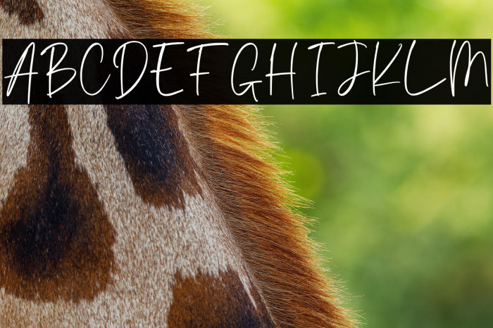 Alisking Personal Use Example 1